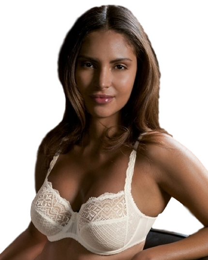 Conturelle Belle De Jour Sheer Lace Plus Size Bra